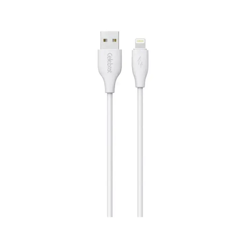 USB-A to 8-pin charging cable